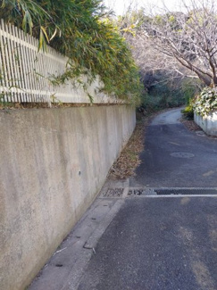 【前面道路含む現地写真】 | 三浦市初声町下宮田　建築条件なし売地 | 前面道路含む現地写真