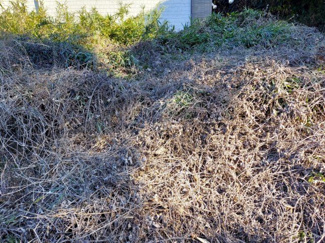 【外観】 | 三浦市初声町下宮田　建築条件なし売地 | 閑静な住環境です。