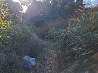 【外観】 | 三浦市初声町下宮田　建築条件なし売地