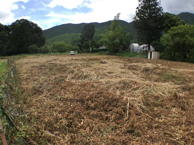 【外観】 | 井中売地