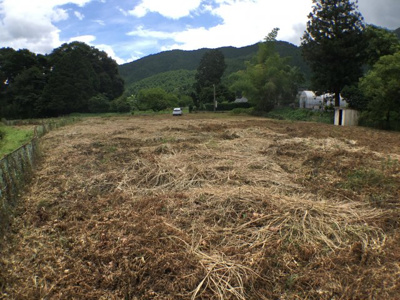 【外観】 | 井中売地