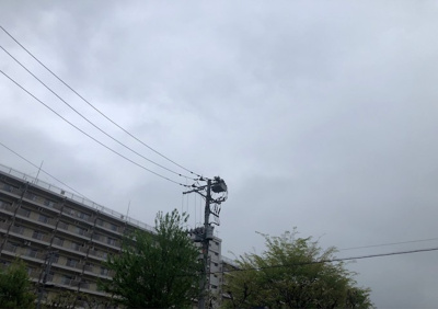 【展望】 | マイキャッスル高尾　グリーンステージ | おすすめです。
