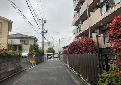 【現況写真】 | マイキャッスル高尾　グリーンステージ | 車に乗るなら道路の幅は気になりますよね。
