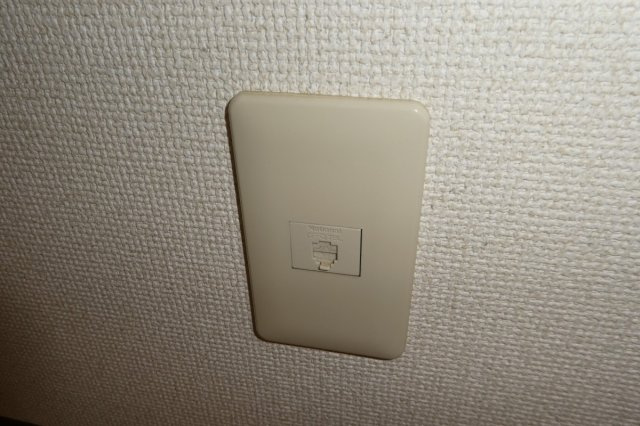 レアリーゼのその他|電話モジュラー