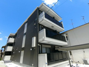 F asecia Dorasの画像