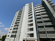 ホワイトハウス公園前の画像