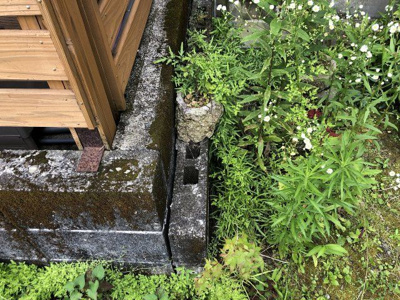 【庭】 | 平佐町北牟田戸建