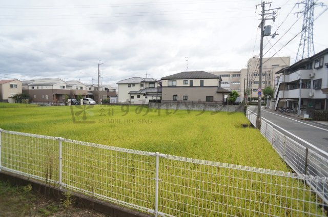 ボナミ田中ハイツの展望