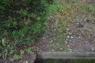 【外観】 | 東郷町斧渕土地