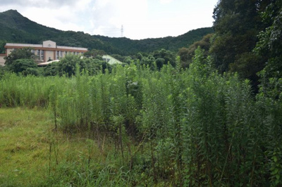 【外観】 | 東郷町斧渕石堂土地D