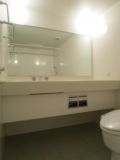 【洗面所】 | レジディア市ヶ谷Ⅱ（旧アクシルコート市谷砂土原）
