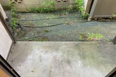 【庭】 | 日興ハイツ | テラス