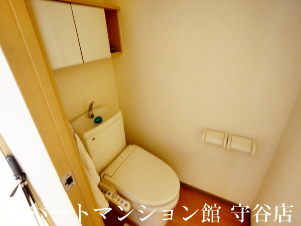 アルファビレッジ豊岡のトイレ
