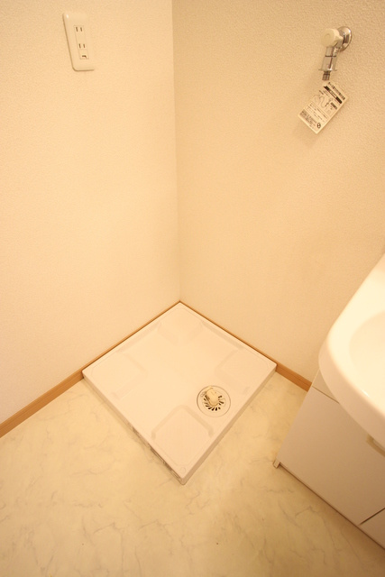 アムール矢澤のその他