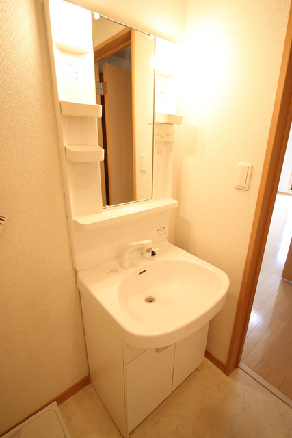 アムール矢澤の洗面所