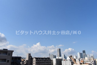 【展望】