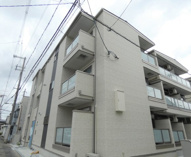 F asecia heulanの画像