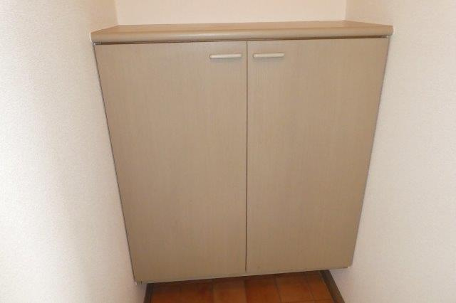 グリーンハイツAの内装|シューズボックス