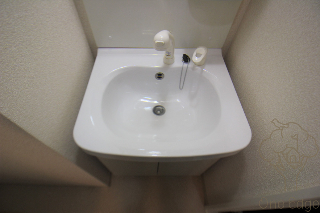 Luxe十三東の洗面所