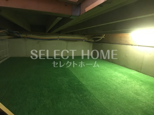  | セレーノＣ
