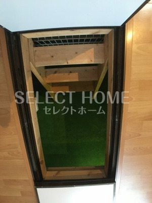  | セレーノＣ