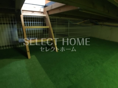  | セレーノＣ