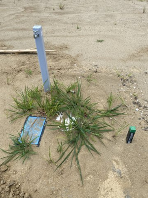 【外観】 | 高柳１６区画分譲