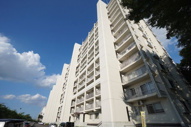 志木ニュータウン中央の森参番街八号棟の画像
