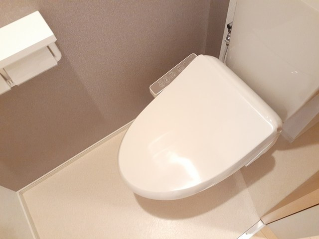 ステラのトイレ