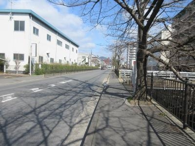 パインフィールド天神川の周辺|前面道路