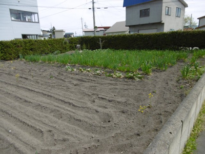 【外観】 | 黒石市ぐみの木・土地