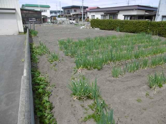 【外観】 | 黒石市ぐみの木・土地