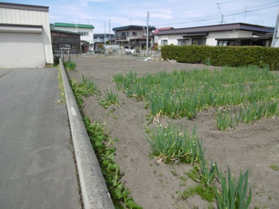 【外観】 | 黒石市ぐみの木・土地