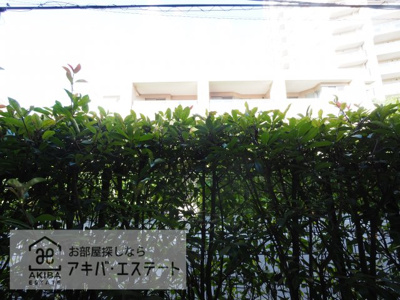 【展望】 | Lantern Ｃourt池之端