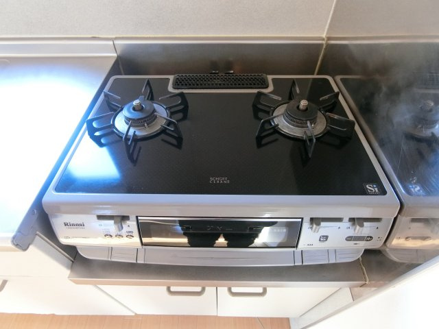 ヴィ・ラフィネ旗ヶ崎2号館のキッチン