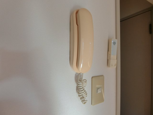 ヴィ・ラフィネ旗ヶ崎2号館のセキュリティ