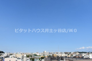 【展望】