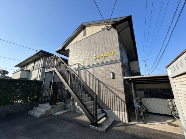 たんぽぽ
