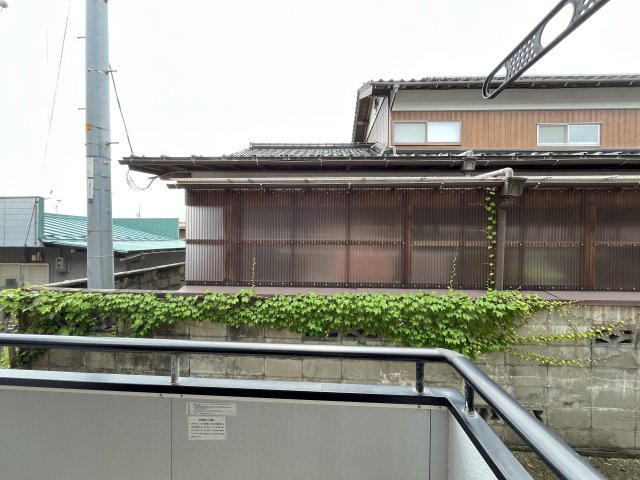 たんぽぽの展望