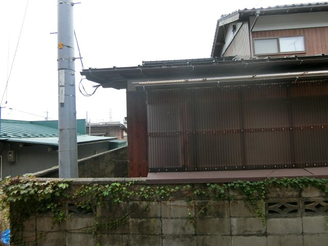 たんぽぽの展望