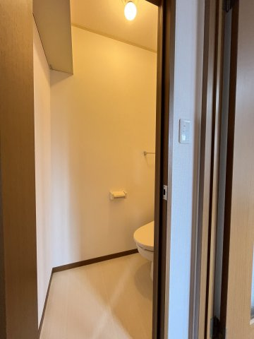 たんぽぽのその他