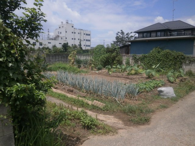 熊谷市久保島 180万 土地の画像