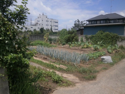【外観】 | 熊谷市久保島 100万 土地