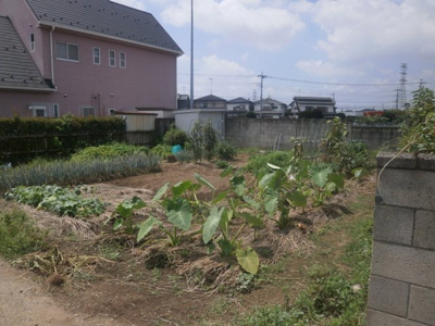 【外観】 | 熊谷市久保島 100万 土地
