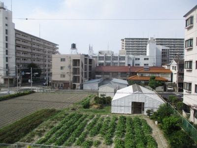 【展望】 | クレセントマンション