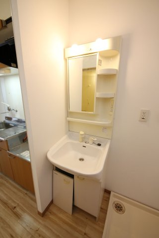 リベルテⅡの洗面所