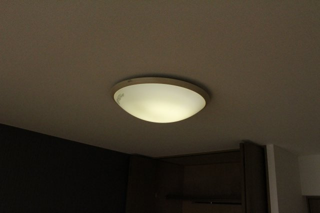ALBA21のその他