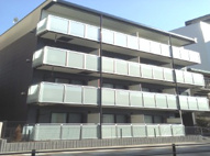 ラッキー の画像