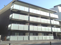 ラッキー の画像