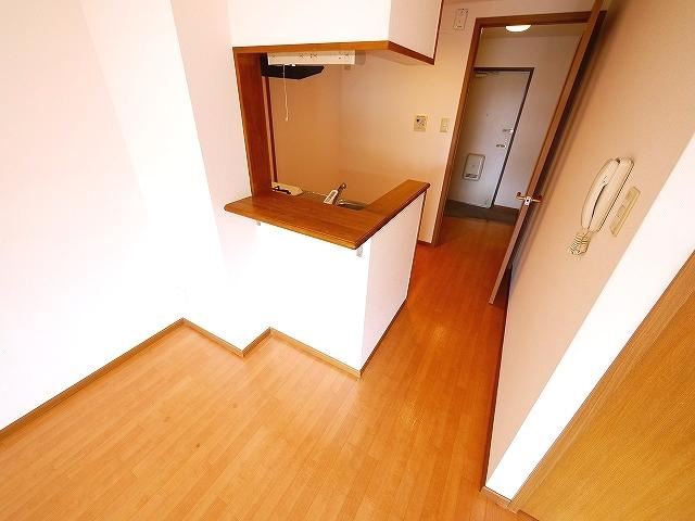 サンモールMRのその他|カウンターキッチン